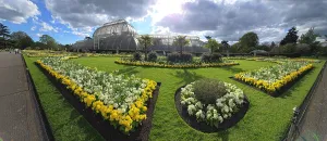 Gardening Prints: Gardens and Palm House, Kew Gardens, United Kingdom