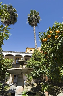 The gardens of the Real Alcazar