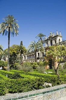 The gardens of the Real Alcazar