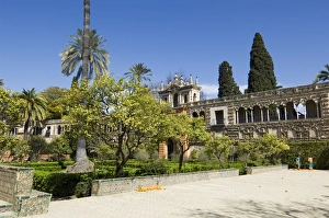 The gardens of the Real Alcazar