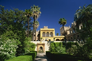 Alcazar Prints: The gardens of the Reales Alcazares