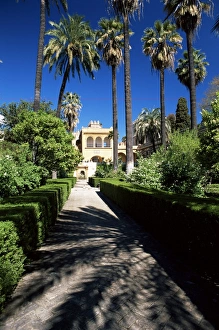 Alcazar Prints: The gardens of the Reales Alcazares (Alcazar)