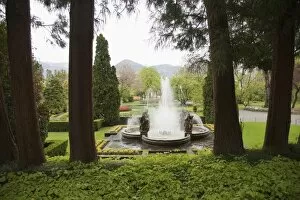The gardens of Villa Taranto, Verbania, Lake Maggiore, Piedmont, Italy, Europe