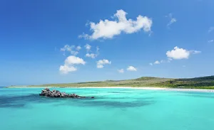 Calm Water Prints: Gardner Bay, Espanola Island, Galapagos