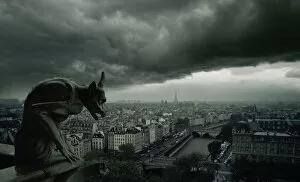 Gargoyle, Notre Dame Cathedral, Paris, France, Europe