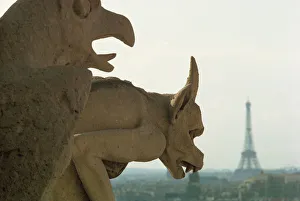 Pari Prints: Gargoyles on Notre Dame Cathedral, and beyond, the Eiffel Tower, Paris, France, Europe