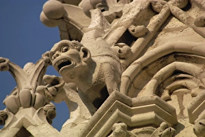 Pari Prints: Gargoyles on Notre Dame Cathedral, Paris, France, Europe