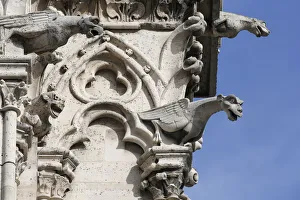 Gargoyle Prints: Gargoyles, Notre Dame de Paris cathedral, Paris, France, Europe