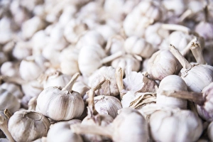 Shan State Prints: Garlic for sale at Hsipaw (Thibaw) market, Shan State, Myanmar (Burma), Asia