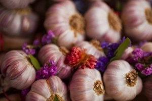 Indre Et Loire Prints: Garlic on sale at a market in soft focus Tours, Indre-et-Loire, Centre, France, Europe