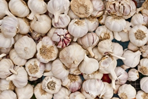 Pile Prints: Garlic for sale at the Sunday morning market