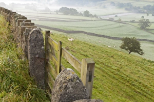 Post Prints: Gate in stone wall and field, near Burnsall