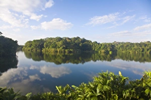 Images Dated 16th January 2008: Gatun Lake, Panama Canal, Panama, Central America