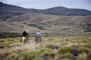 Riding Prints: Gauchos riding horses, Patagonia, Argentina, South America