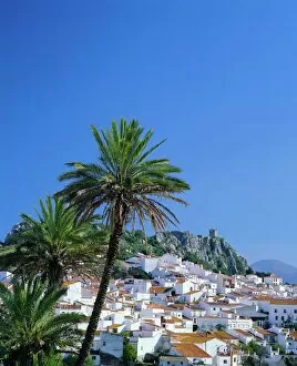 Images Dated 4th September 2008: Gaucin, one of Andalucias many white towns
