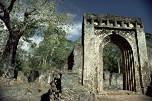 Gedi ruins