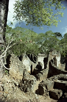 Gedi Prints: Gedi ruins