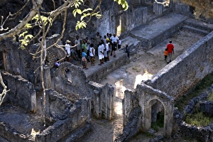 Images Dated 1st January 2009: Gedi ruins, Malindi, Kenya, East Africa, Africa