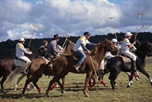 Polo Prints: The Geebung polo match, the bushmen v Melbourne Polo Club, in Australia, Pacific