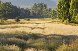 Geehi, Kosciuszko National Park, New South Wales, Australia, Pacific