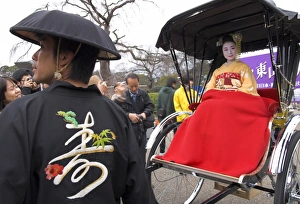 Rick Shaw Prints: Geisha in full traditional dress and haircut sitting