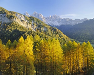 Autumnal Leaves Prints: Geislerspitzen