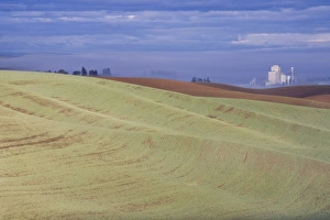 Grain Prints: Genesee grain silo, Palouse, Idaho, United States of America, North America