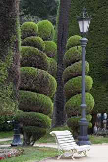 Cadiz Gallery: Genoves Park, Cadiz, Andalusia, Spain, Europe
