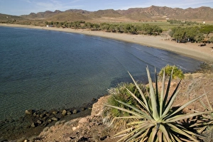Images Dated 11th January 2000: Genoveses Beach