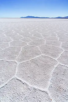 Vast Prints: Geometric cracked salt flats, Salinas Grandes, Jujuy, Argentina