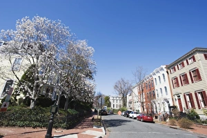 Washington Dc Prints: Georgetown district, Washington D. C. United States of America, North America