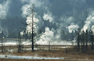 Thermal Areas Prints: Geothermal activity, Yellowstone National Park, UNESCO World Heritage Site