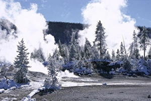 Frosted Prints: Geothermal steam