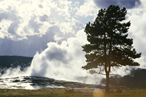 Thermal Prints: Geothermal steam from geyser vent between eruptions