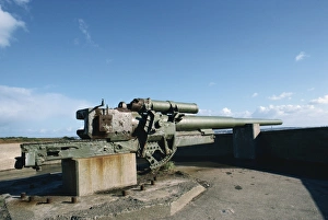 Warfare Prints: German gun