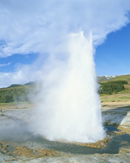 Geyser at Geysir thermal area