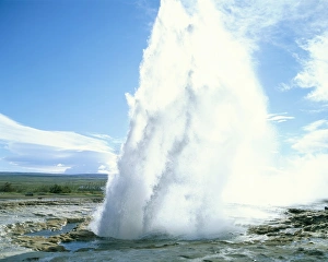 Geyser at Geysir thermal area