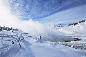 Geysers Prints: Geysers in Yellowstone National Park