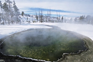 Geysers Prints: Geysers in Yellowstone Park