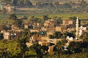 Images Dated 11th February 2008: Gezira Town, Luxor, Thebes, Middle Egypt, Egypt, North Africa, Africa