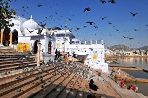 Flock Of Birds Prints: Ghats at Holy Pushkar Lake and old Rajput Palaces, Pushkar, Rajasthan, India, Asia