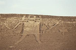 Enigma Prints: Giant of the Atacama, petroglyph, Chile, South America
