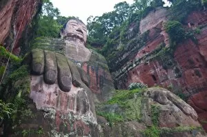 Images Dated 23rd August 2010: The giant Buddha of Leshan, UNESCO World Heritage Site, Sichuan, Tibet, China, Asia