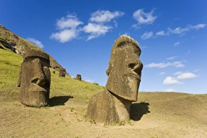 Images Dated 15th March 2008: Giant monolithic stone Moai statues at Rano Raraku, Rapa Nui (Easter Island)