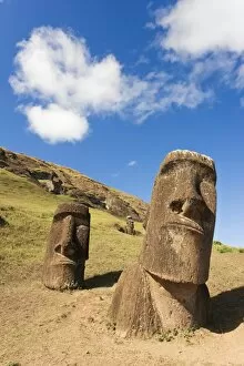 Images Dated 15th March 2008: Giant monolithic stone Moai statues at Rano Raraku, Rapa Nui (Easter Island)
