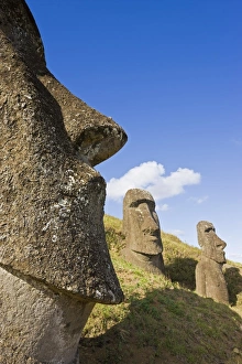Images Dated 15th March 2008: Giant monolithic stone Moai statues at Rano Raraku, Rapa Nui (Easter Island)