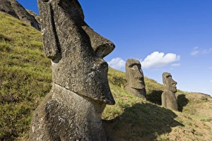 Images Dated 15th March 2008: Giant monolithic stone Moai statues at Rano Raraku, Rapa Nui (Easter Island)