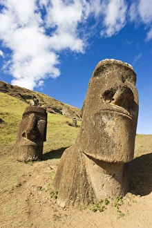 Images Dated 15th March 2008: Giant monolithic stone Moai statues at Rano Raraku, Rapa Nui (Easter Island)