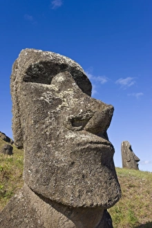 Images Dated 15th March 2008: Giant monolithic stone Moai statues at Rano Raraku, Rapa Nui (Easter Island)