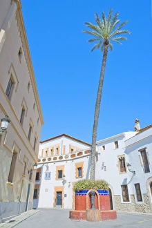 Catalonia Prints: Giant palm tree, old town, Sitges, Costa Dorada, Catalonia, Spain, Europe